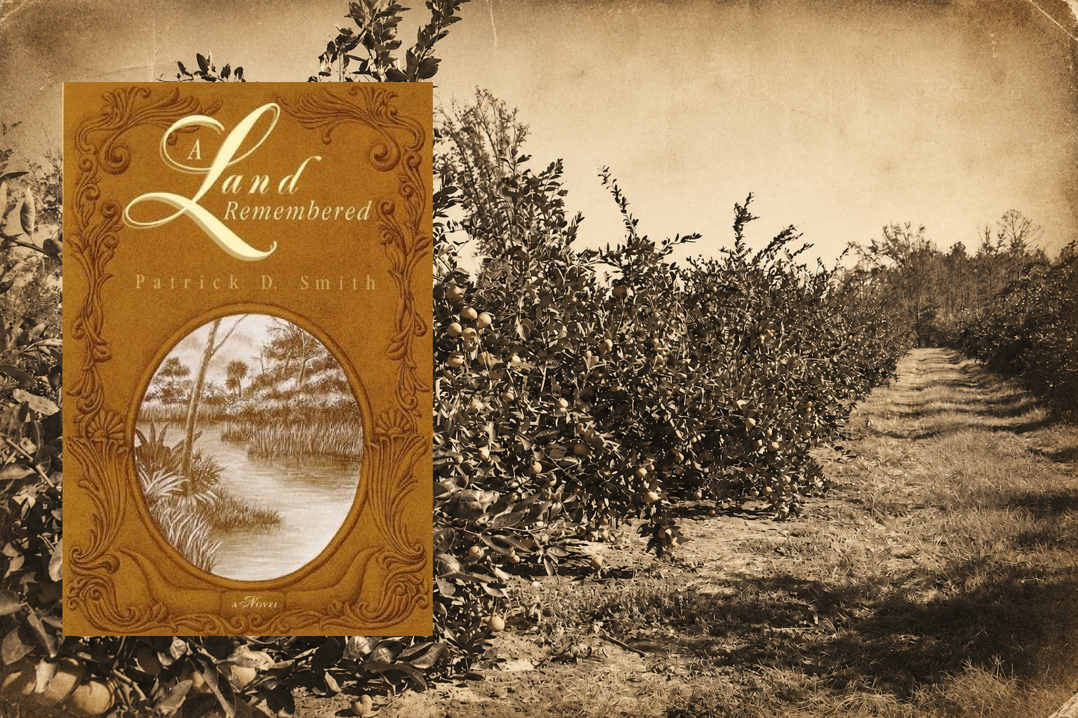 Featured image for “‘A Land Remembered’ TV Series Producer To Speak at Citrus & Specialty Crop Expo”