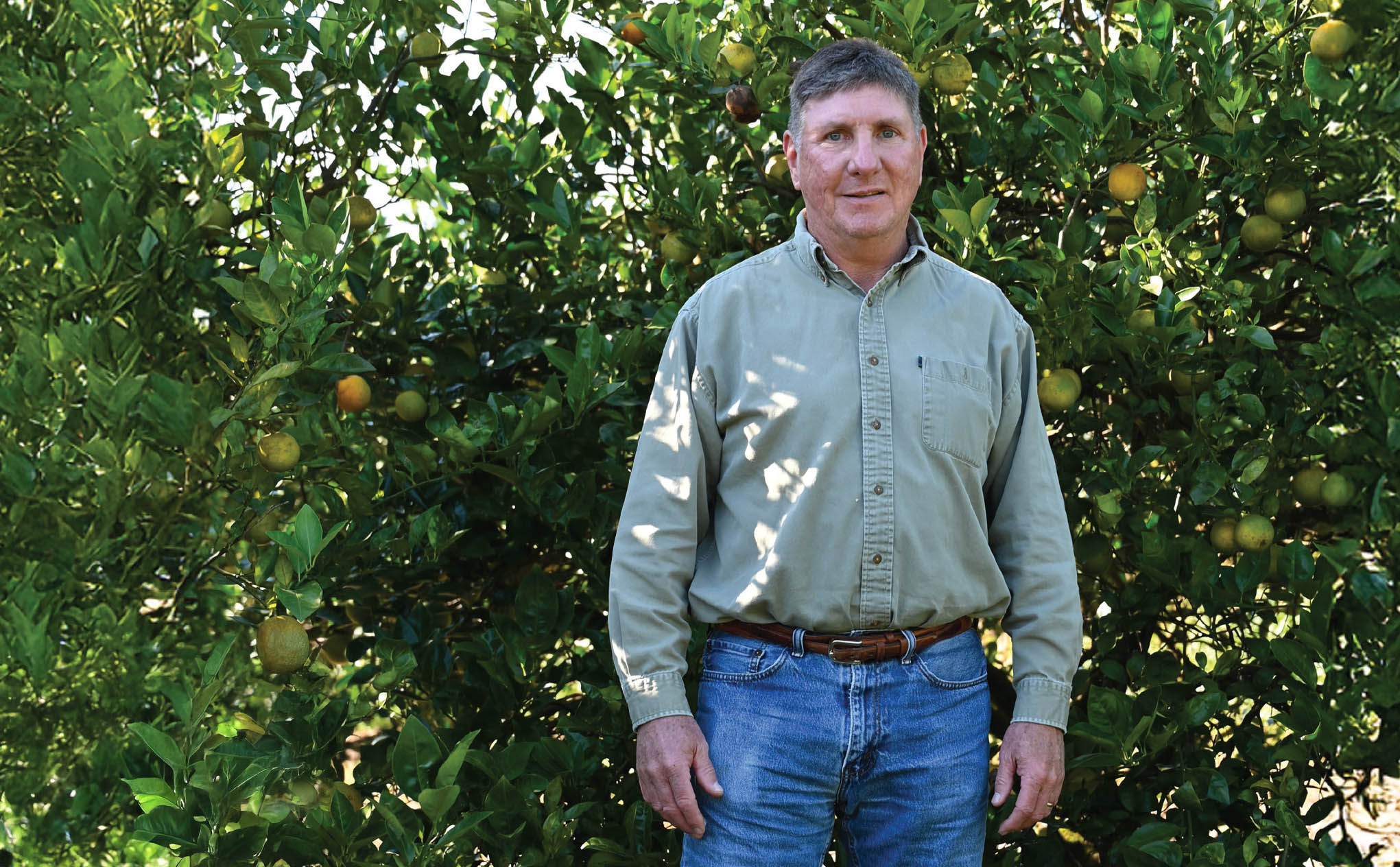 Featured image for “Panel Discussion on Optimizing OTC Performance at Citrus & Specialty Crop Expo  ”
